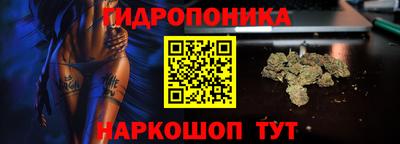 дмт Нарткала